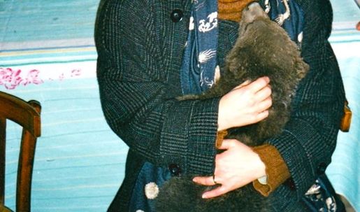 Bear, Georgia, Soviet Union