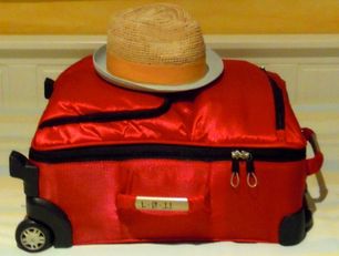 Karen McCann 3 months 1 suitcase