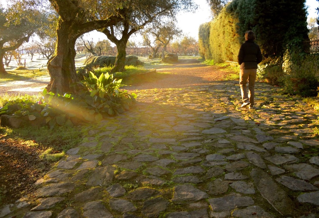 Southern Spain, early morning light; best travel pix, Karen McCann
