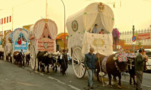 Karen McCann, Romeria del Rocio, Seville, Spain