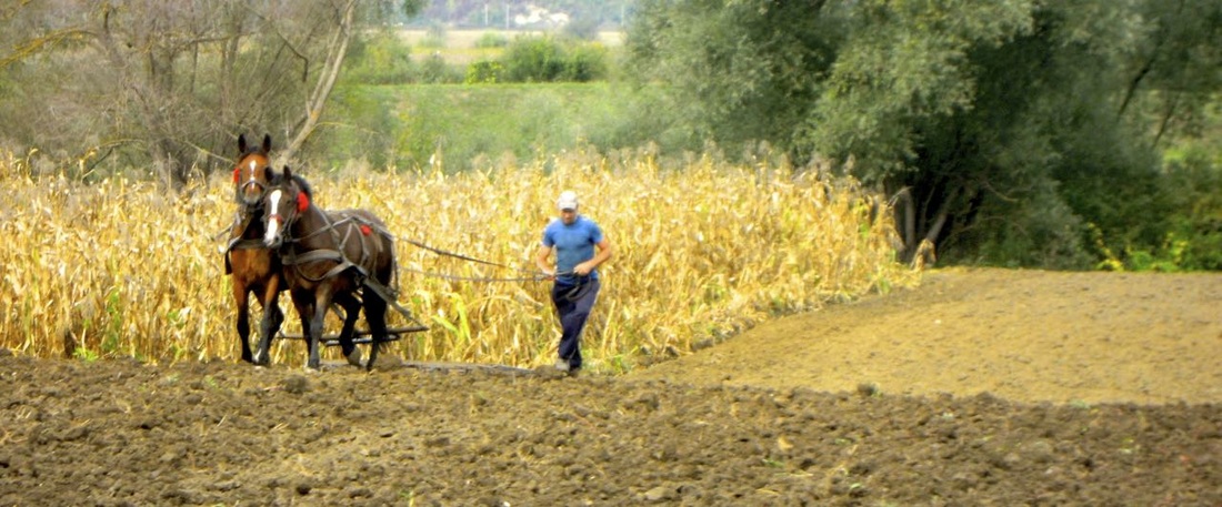 Miklósvár, Romania; best travel photos; Karen McCann