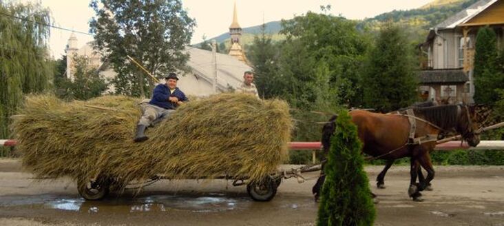 Karen McCann, Botiza, Romania