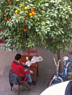 Karen McCann, Seville cafe