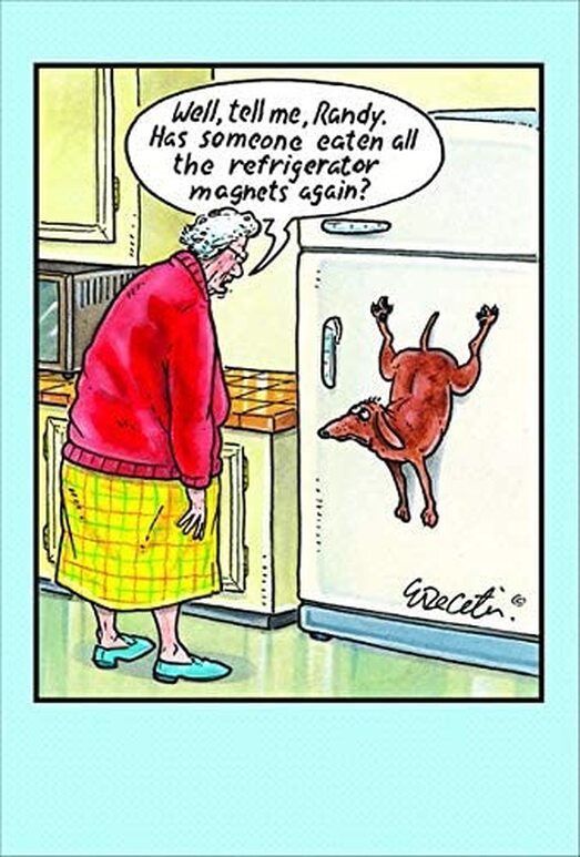 Funniest greeting card ever / Weird at the Holidays / Pandemic celebrations / Karen McCann / EnjoyLivingAbroad.com