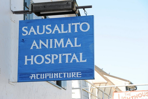 Guillaume Paumier/Flickr in Karen McCann on Acupuncture and Trip Delays