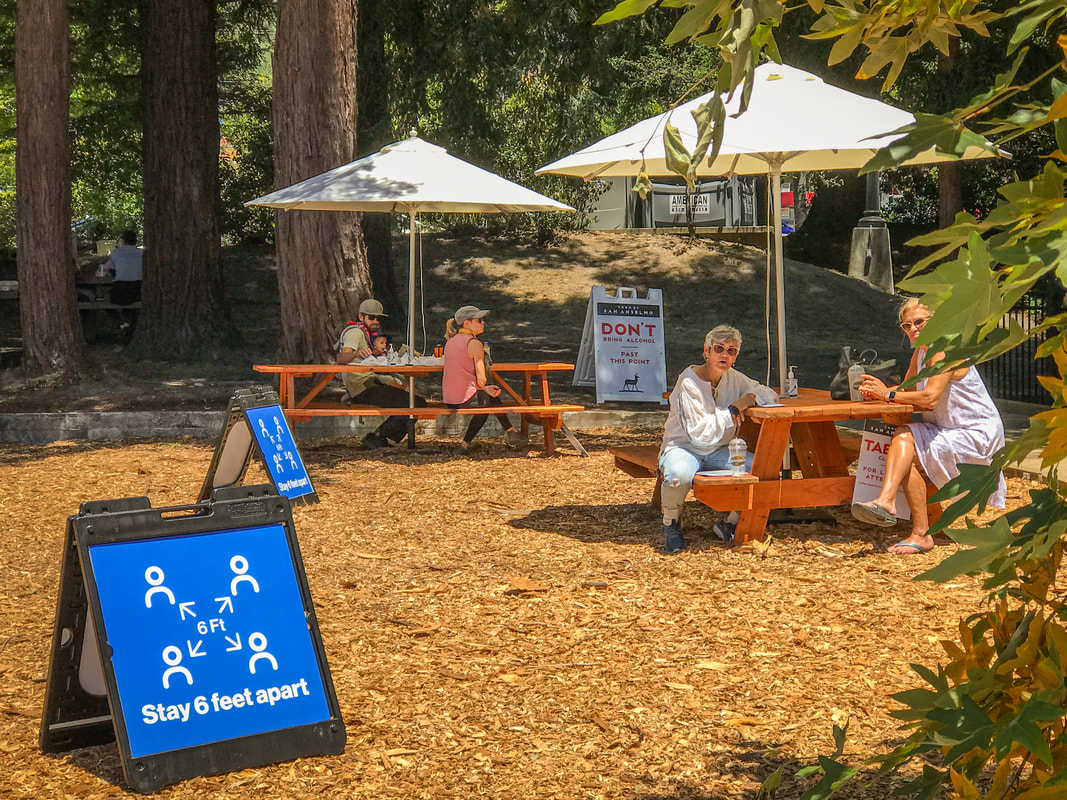 San Anselmo COVID-19 Picnic Park / Best COVID-19 T-Shirts / Inspired Lunacy of the Pandemic / Karen McCann / EnjoyLivingAbroad.com