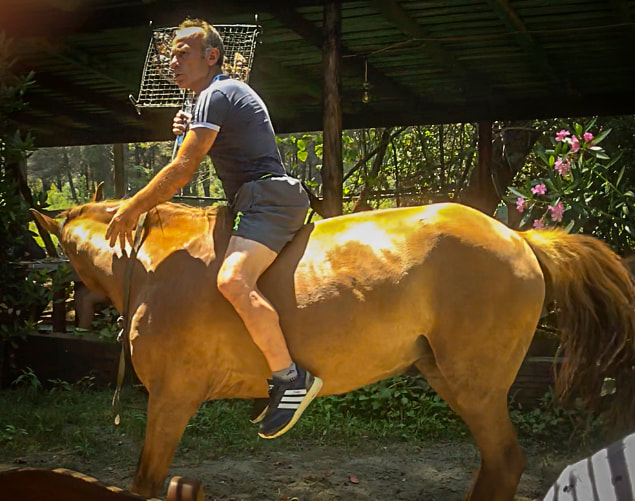 Ali Kali / The Horse That Brought Us to Albania / Karen McCann / EnjoyLivingAbroad.com