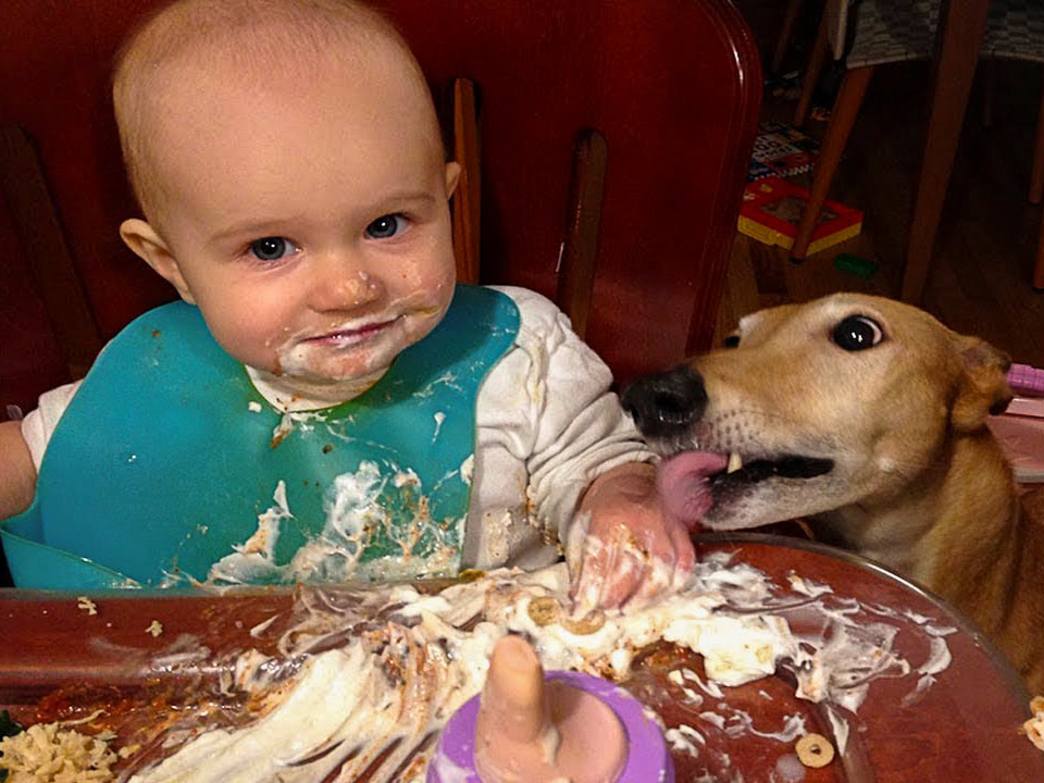 Baby-fed weaning / Picky eaters / Karen McCann / EnjoyLivingAbroad.com