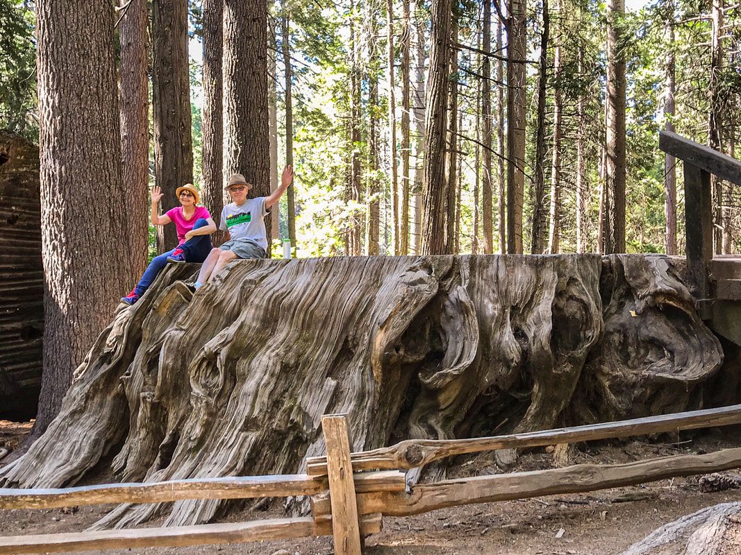 Big Trees, CA / Quirky, nutty, offbeat museums / Karen McCann / EnjoyLivingAbroad.com