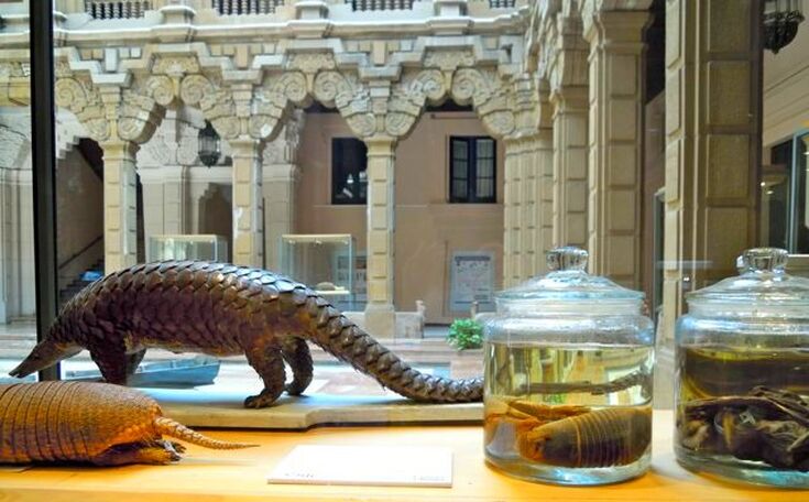 Casa de la Ciencia, Seville, Spain 2012 / Karen McCann / Seville, Spain / Out to Lunch / Karen McCann / EnjoyLivingAbroad.com