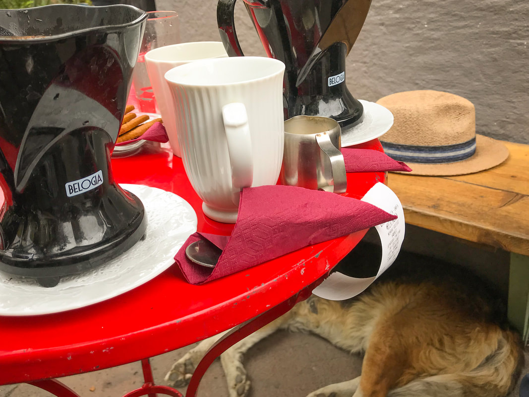 Coffee, with sleeping dog / Lesbos Island, Greece / Karen McCann / EnjoyLivingAbroad.com