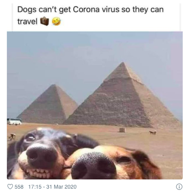 Travel During Coronavirus / Are We Nuts? / Karen McCann / EnjoyLivingAbroad.com