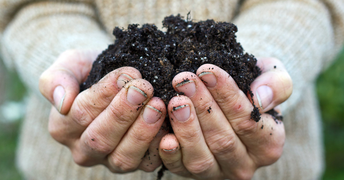 Composted Human Remains / Time to Up Our Empathy / Karen McCann / EnjoyLivingAbroad.com