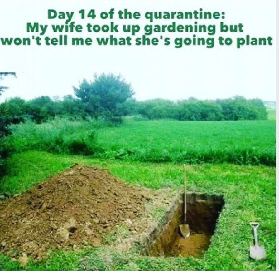 Funny meme / Nostalgia for Quarantine? / coronavirus humor & perspectives / Karen McCann / EnjoyLivingAbroad.com