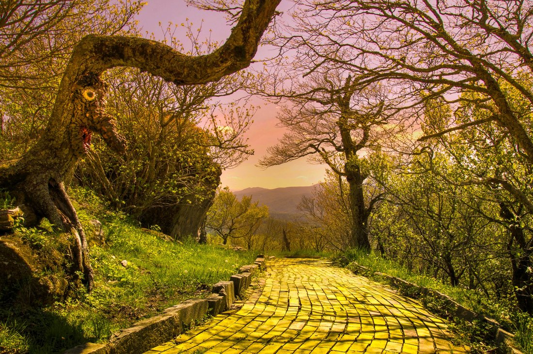 Picture