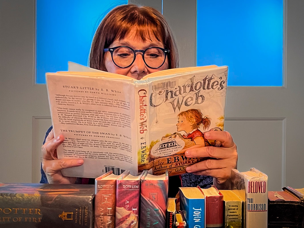 Banned Books / Why Isn't Anyone Banning My Books? / Karen McCann / EnjoyLivingAbroad.com