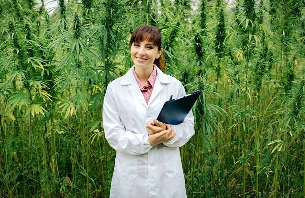 Vanessa Lavorato/ Bong Appetit / Does Marijuana Make You Thinner? / Karen McCann / enjoylivingabroad.com