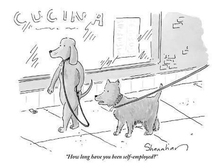 Guide Dogs for the Blind / Finding Hope / Karen McCann / EnjoyLivingAbroad.com