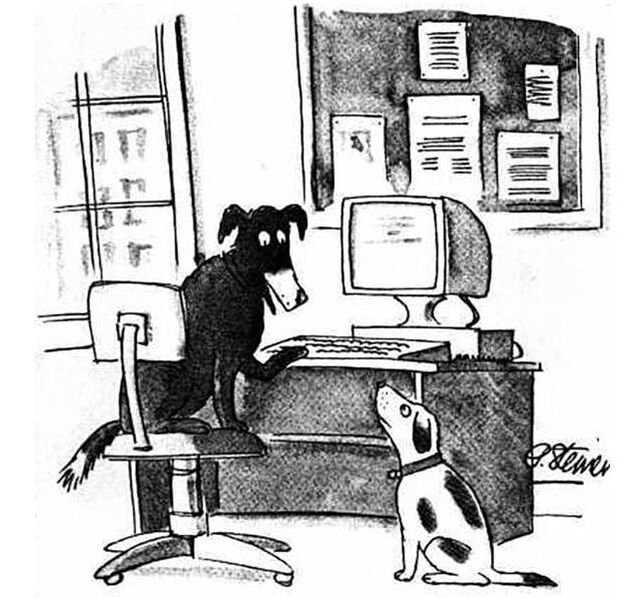 Dogs in Space / Overlook Effect / Expat Life / Karen McCann / EnjoyLivingAbroad.com