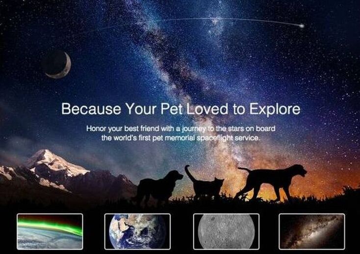 Pet Memorials in Space / Space Tourism for the Living & Dead / Karen McCann / EnjoyLivingAbroad@gmail.com