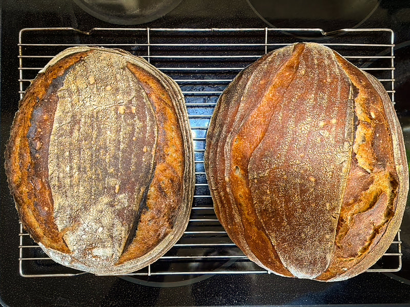 Phil's Amazing Sourdough Recipe / Surviving the Pandemic / Keep Going! / Karen McCann / EnjoyLivingAbroad.com