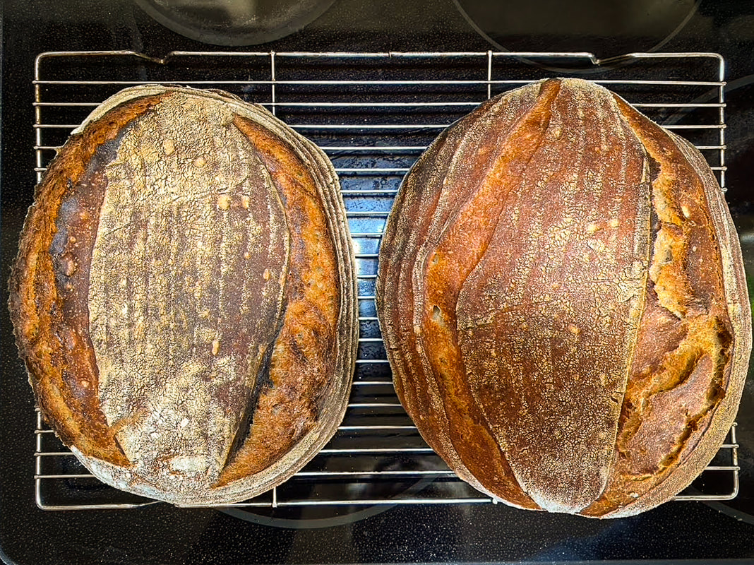 Bread baking as a survival tool / Surviving the Pandemic / Keep Going! / Karen McCann / EnjoyLivingAbroad.com