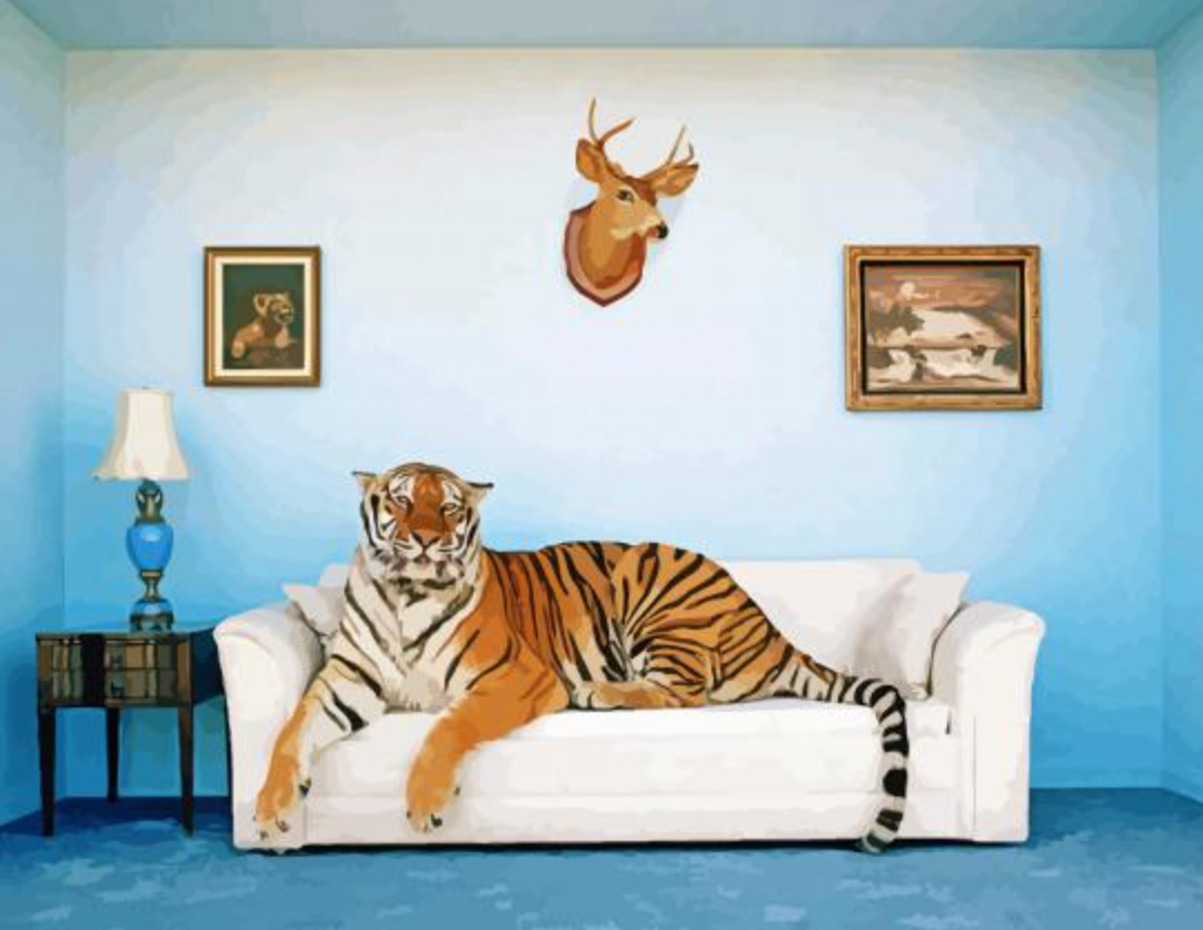 Cultural deforestation / Seville, Spain / Casa del Tigre / Jueves Mercado / Out to Lunch / Karen McCann / enjoylivingabroad.com
