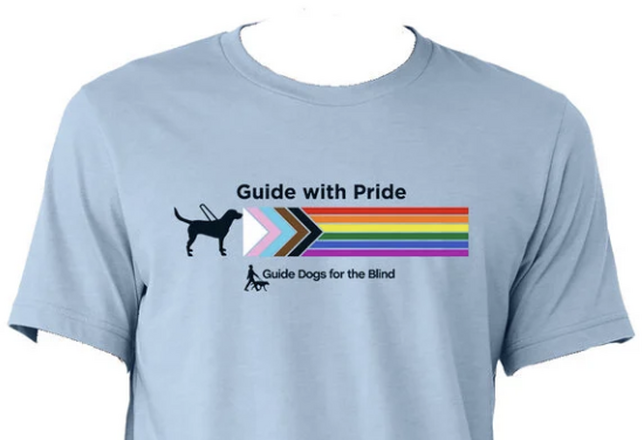 Guide Dogs for the Blind / Finding Hope / Karen McCann / EnjoyLivingAbroad.com