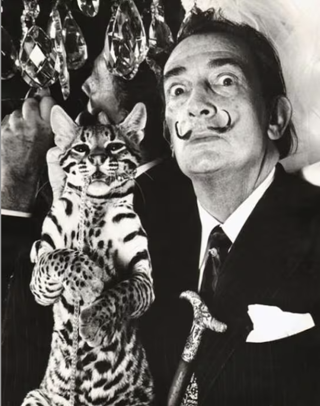 Salvador Dali / Cedars of Marin / Choose Kindness / Finding Hope / Karen McCann / EnjoyLivingAbroad.com