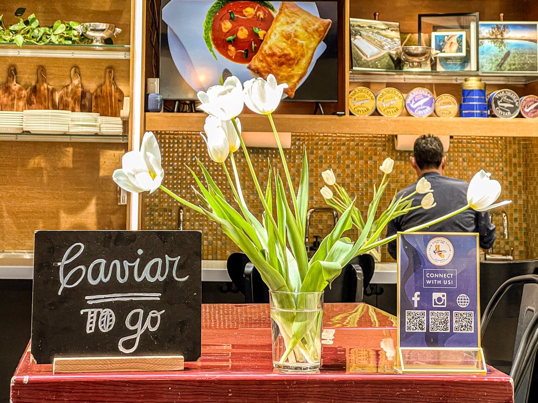 Cheap & cheerful eats in San Francisco, CA / Out to Lunch / Karen McCann / EnjoyLivingAbroad.com