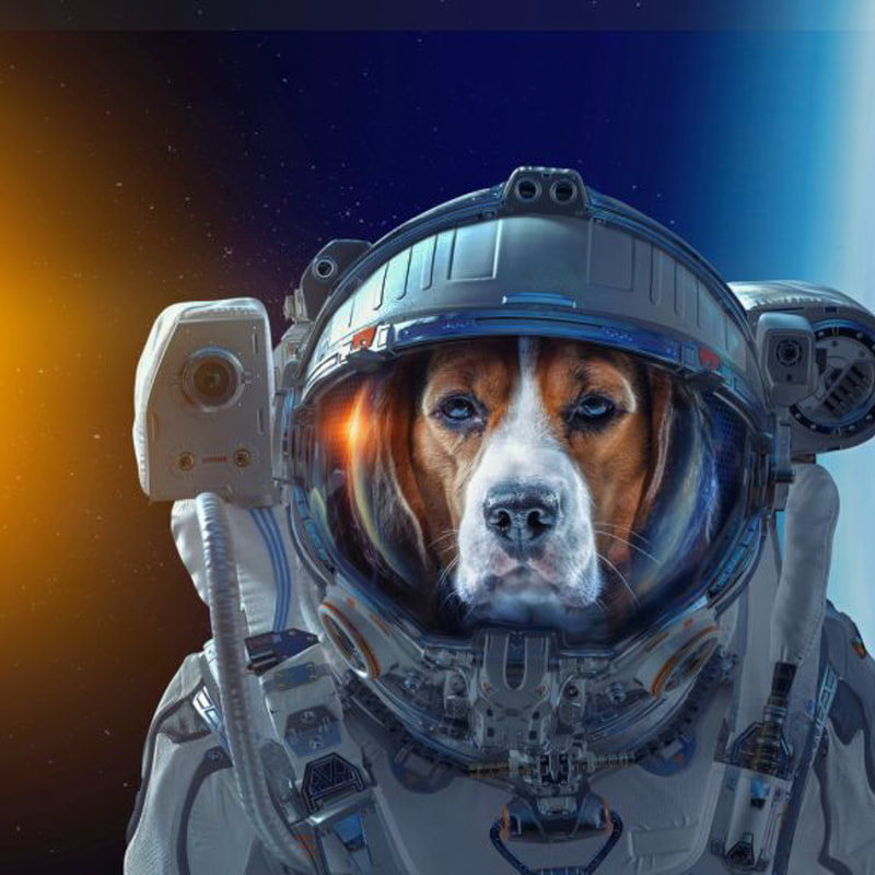Affordable Space Travel / Overlook Effect / Expat Life / Karen McCann / EnjoyLivingAbroad.com