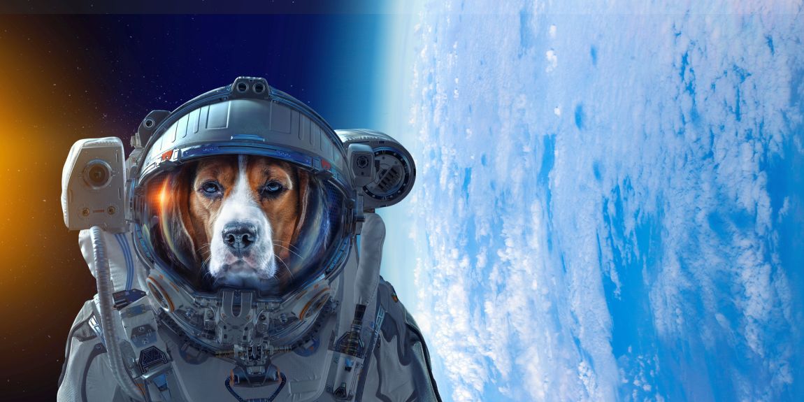 Space Tourism for the Living & Dead / Karen McCann / EnjoyLivingAbroad@gmail.com