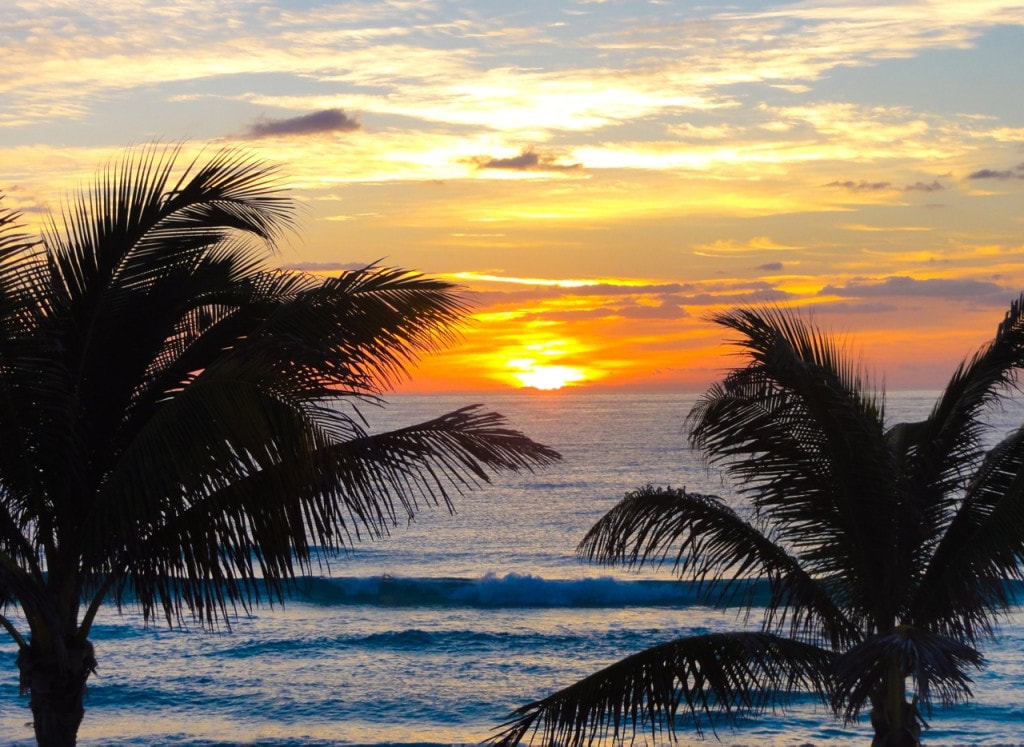 Cancun: Hero's Sacrifice  / The Virus That Saved Humanity in the 1950s / Karen McCann / EnjoyLivingAbroad.com