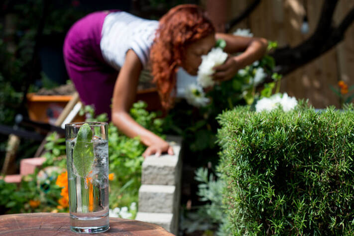 Vitamin G / Voodoo Cooking & Other Goofy Coping  Strategies / Karen McCann / EnjoyLivingAbroad.com