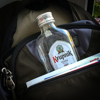 Vitamin V / Midnight Bus to Ukraine / Karen McCann / EnjoyLivingAbroad.com